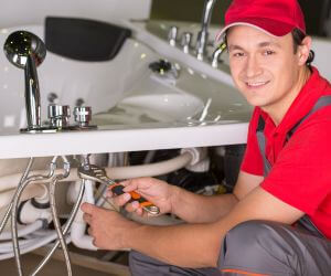 About Emergency plumbing pros Rock, MI